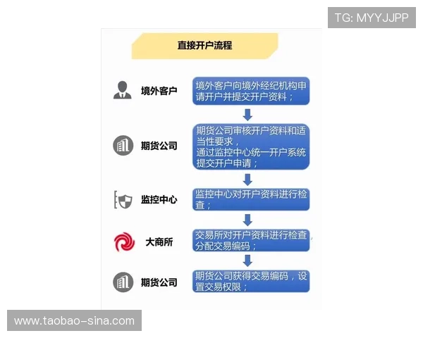 安全保障下的ag手机版全站登录流程详解提升账户安全性的重要措施 安全保障下的ag手机版全站登录流程详解提升账户安全性的重要措施