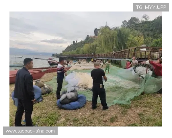 收藏这些ag捕鱼技巧，让你的下一局捕鱼更具优势