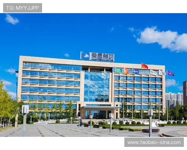 凯发集团手机版下载安全保障措施，保障玩家个人信息与资金安全