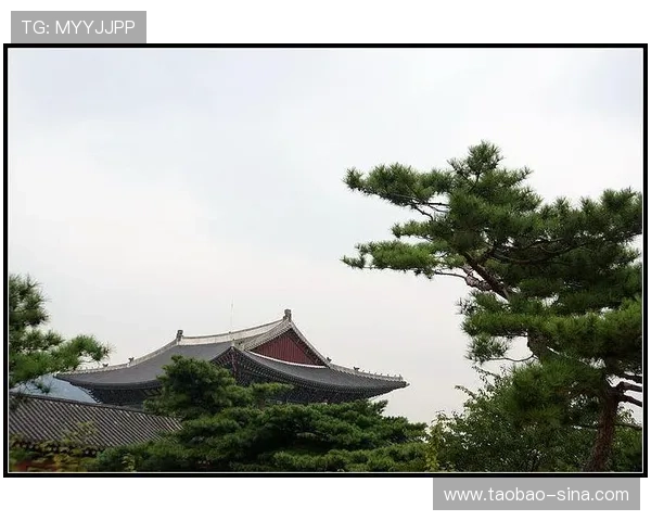 如何快速找到BG大游真人登录线路,享受高效安全的在线娱乐服务 如何快速找到BG大游真人登录线路,享受高效安全的在线娱乐服务