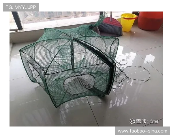 解析PA捕鱼网投盈利模式，助你提升捕鱼技巧实现更多收益