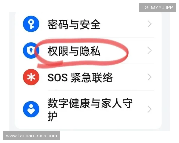 AGVIP官网安全登录流程全攻略保障你的账号信息安全与隐私保护